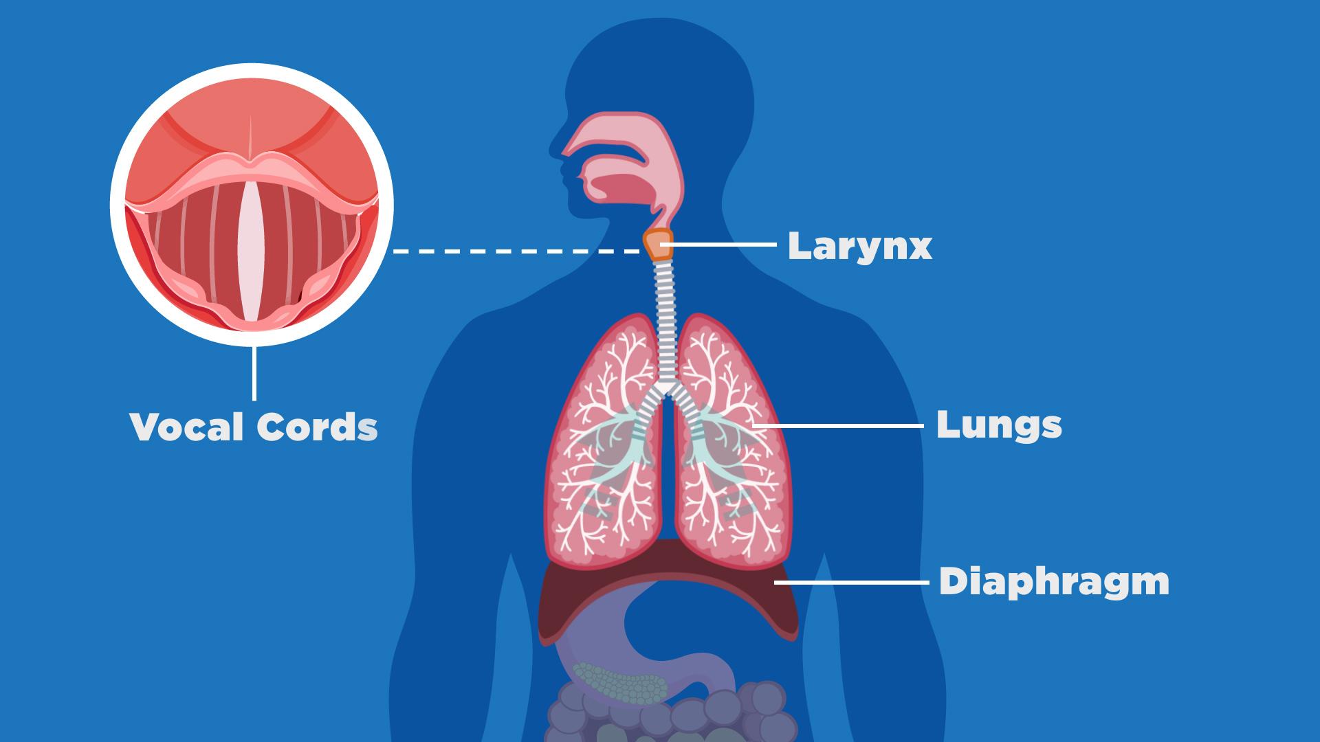 What Hidden Health Problems Cause Chronic Hiccups?